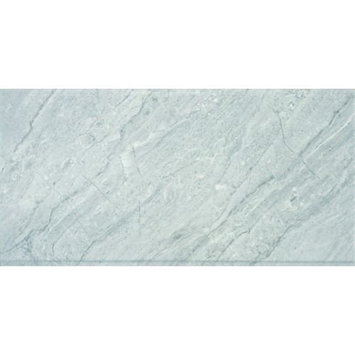 T29.RY36304A