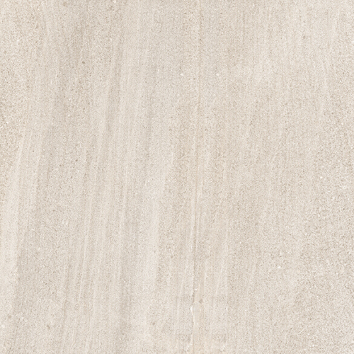 T37.S6836