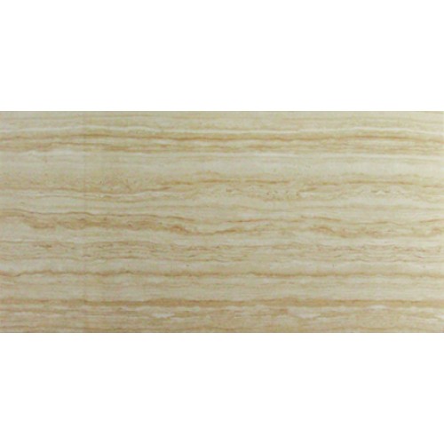 T29.ZN65001