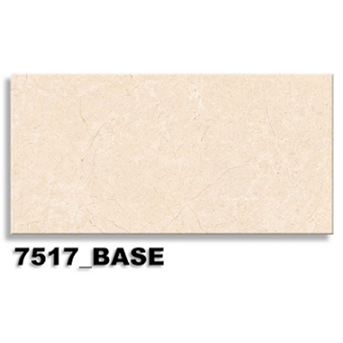 T29.7517-BASE