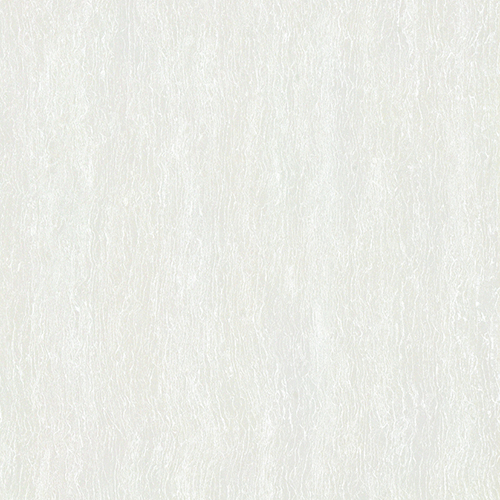 T37.BM6806