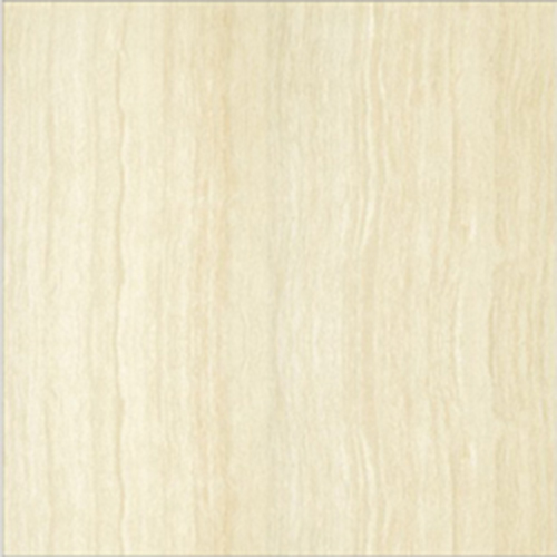 T37.P67206N